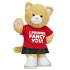 Jennifur Cat Plush Fancy You Gift Set
